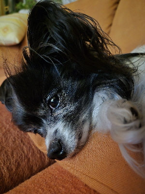 ich will nur chillen