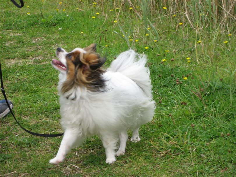 Gibt�s da ein Leckerchen