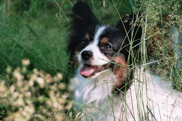 dont worry, be happy