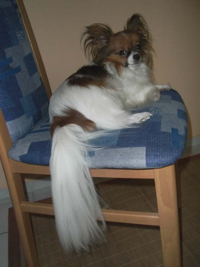 So ein h�bsches M�dchen.