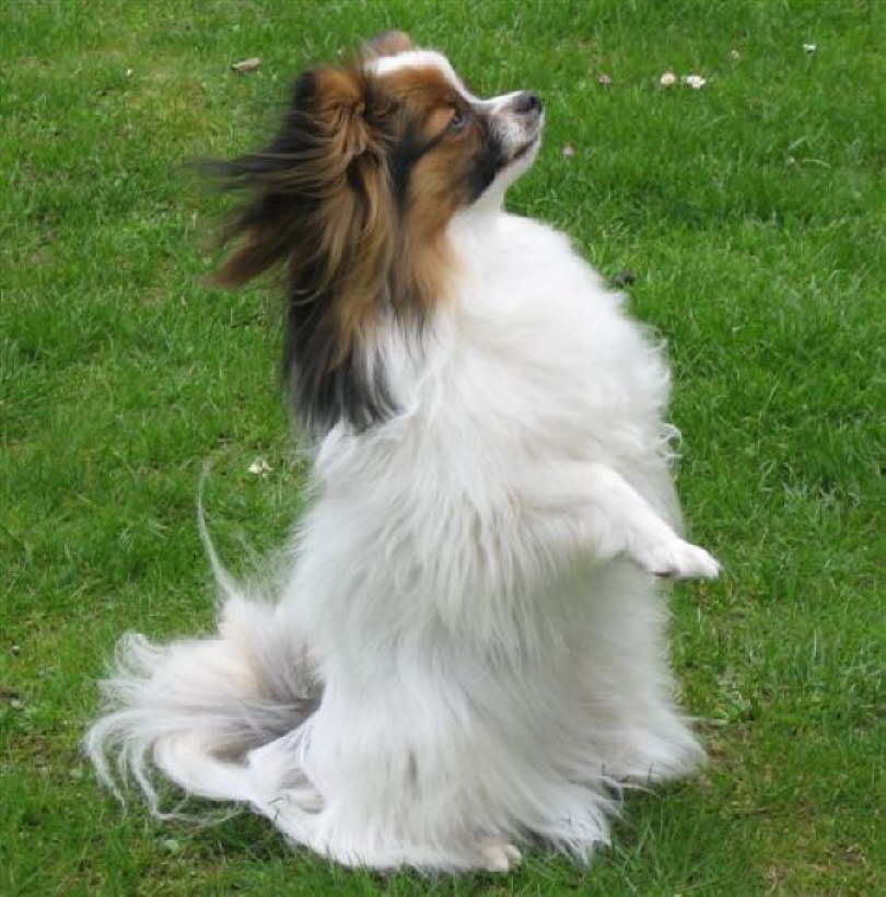 Na, seh ich dann nicht wieder toll aus?