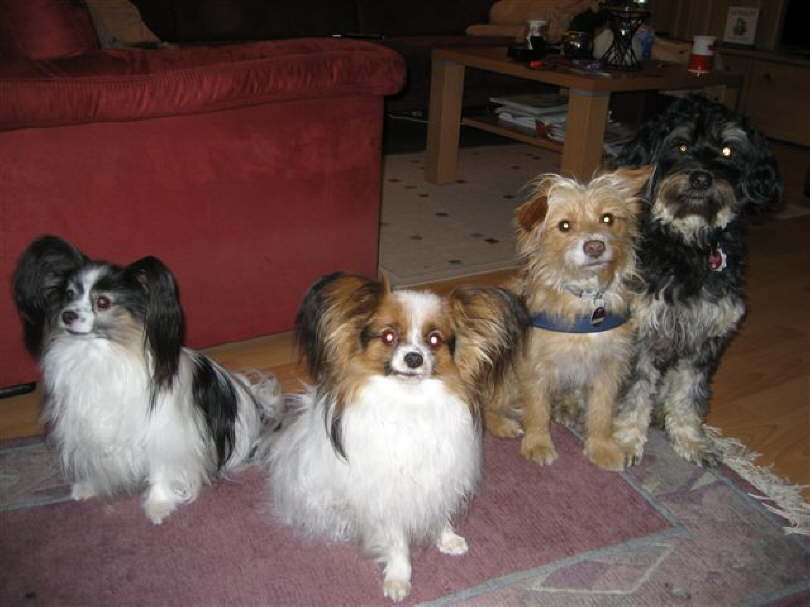 die gro�en Freundinnen