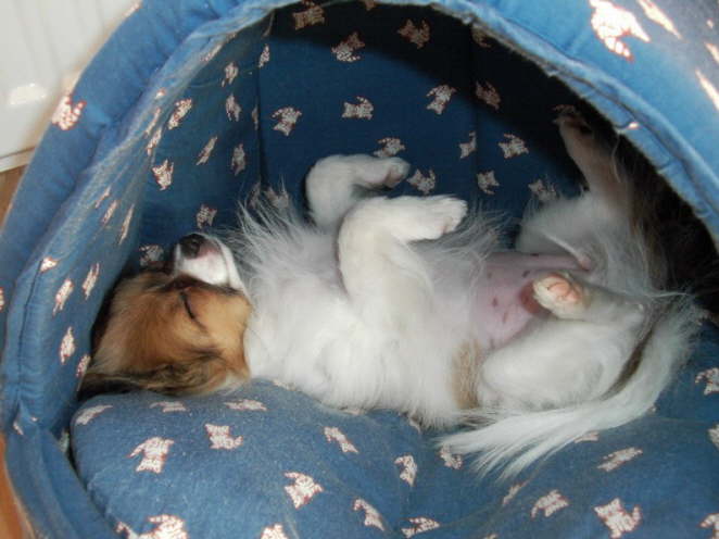 Ist das sch�n kuschelig.