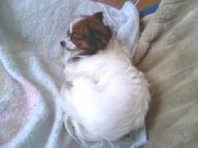 Ein kuscheliges Pl�tzchen.