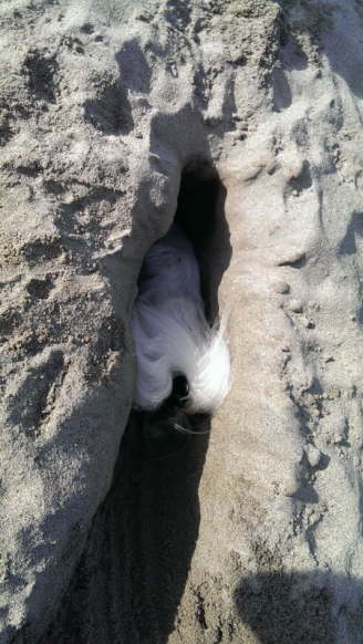 bis man fast weg ist