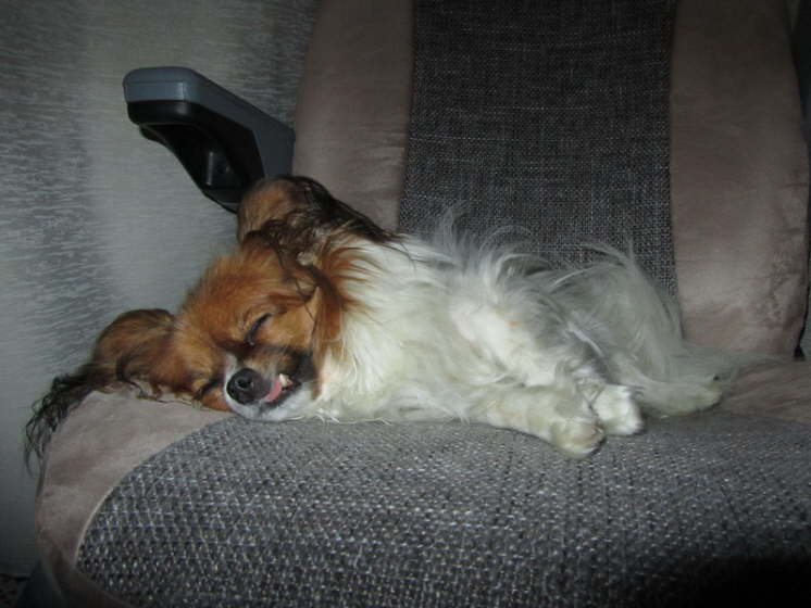 Und man braucht eine Pause