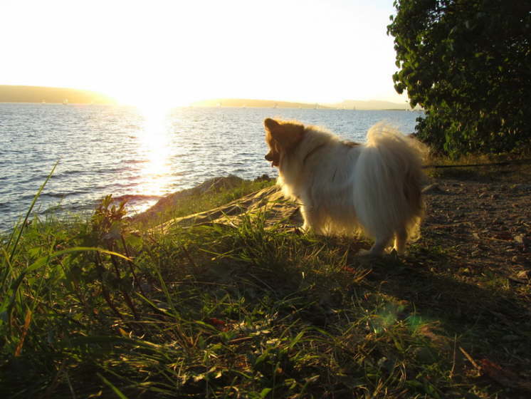 mit sch�ner Aussicht