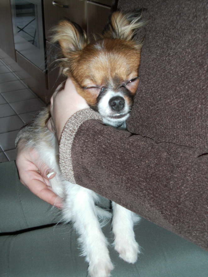 Zum Gl�ck gibt�s dann Streicheleinheiten.