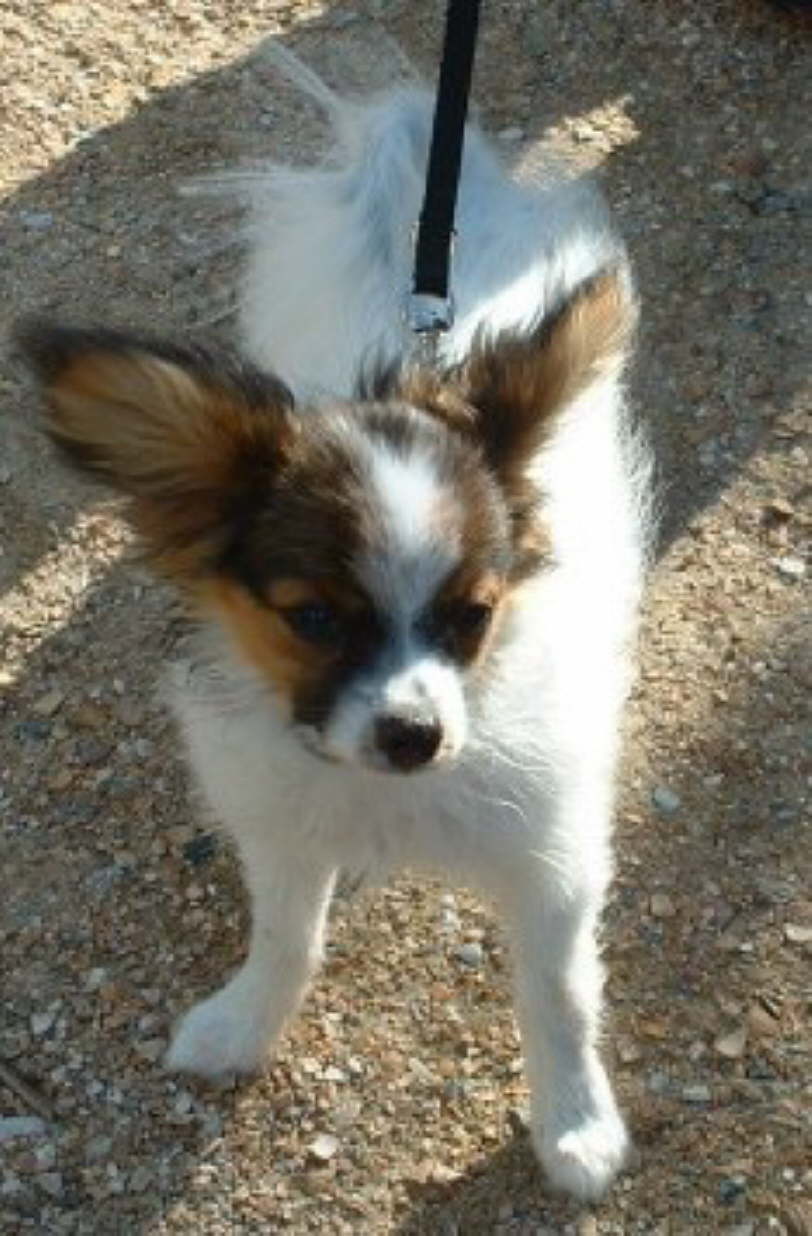 So h�bsch bin ich geworden.