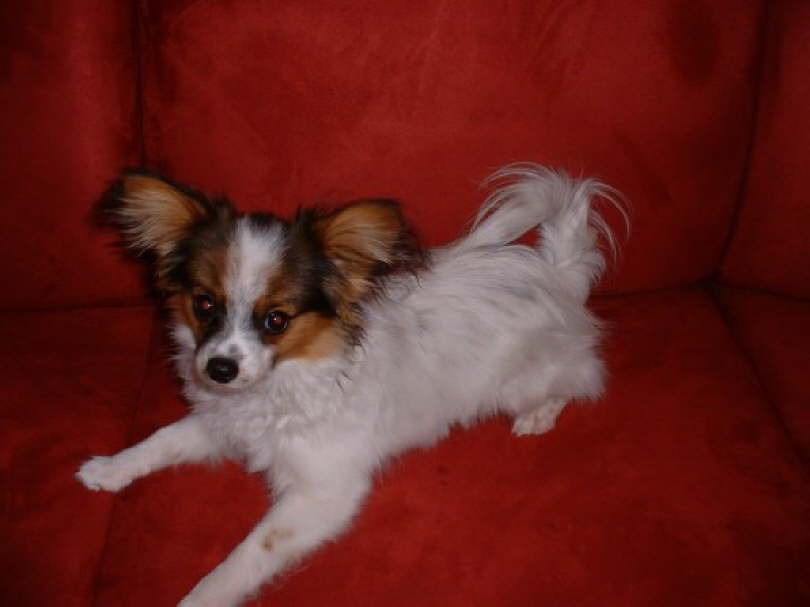 Oder wollen wir etwas spielen?