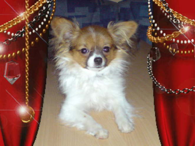 So sch�ne Weihnachtsbilder