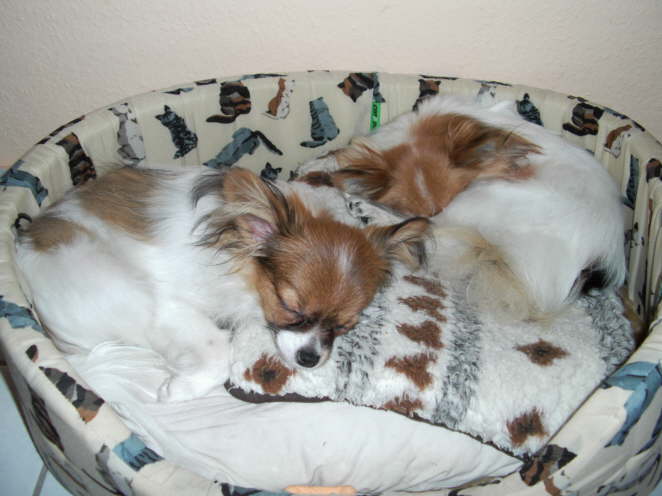 2 s��e Rollm�pse.