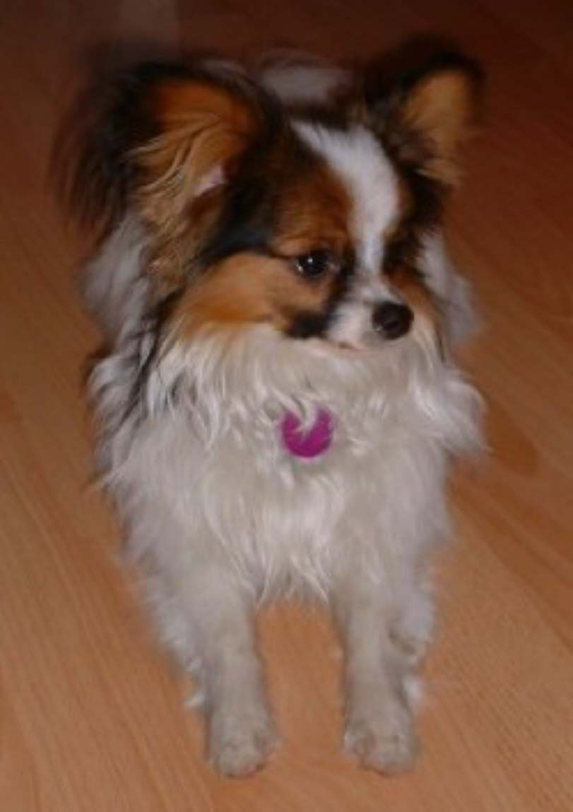 Ein h�bscher Bursche