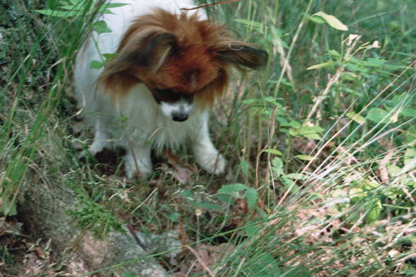 los komm raus, ich seh dich