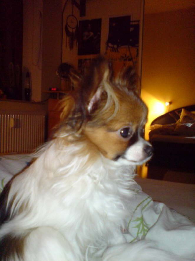 Noch ein bisschen m�de.