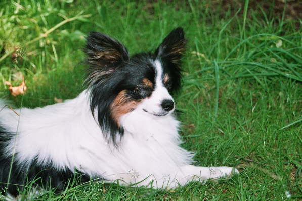 ich mach auch ne Pause