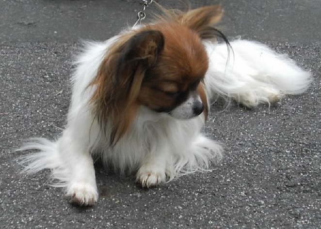 Und am Ende ziemlich m�de.