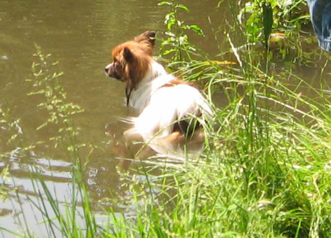 erste Schwimmversuche