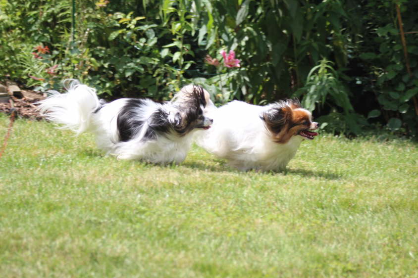 Besuch von Alex und Colin 