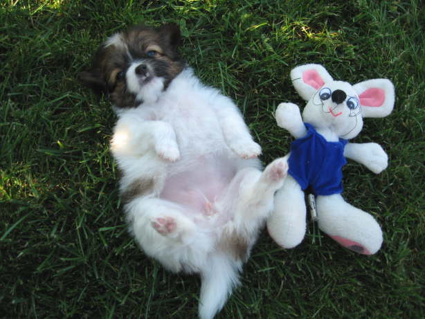 Gebt mir auch so eine Hose!