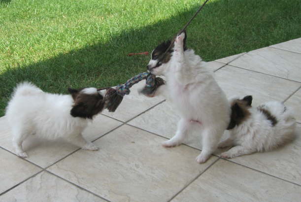 Sp�ter gehe ich mal in den Zirkus.