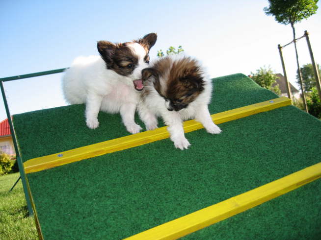 Aaaam Sonntag war mein Frauchen da.