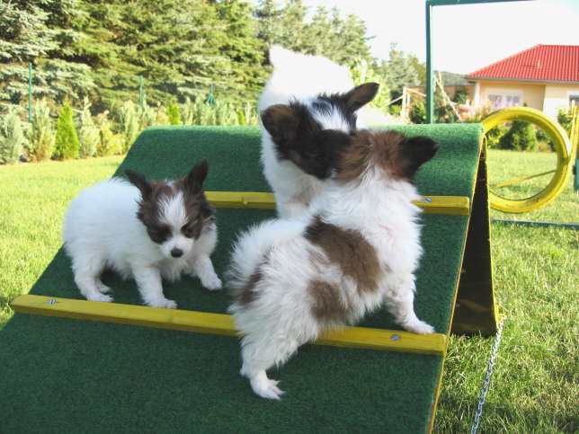 Pssst, wollen wir ihr helfen?