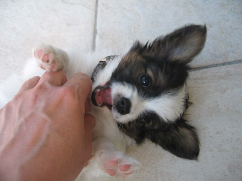 Biiiiitte - mach mal ab.