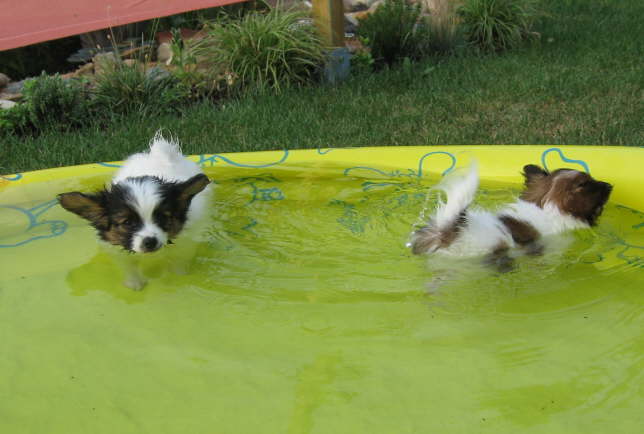 tsch! Ich kann noch stehen.