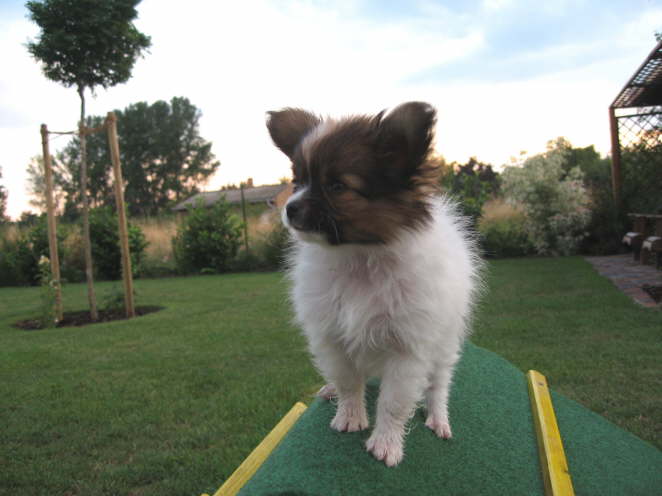 Hier oben gef�llt�s mir prima.