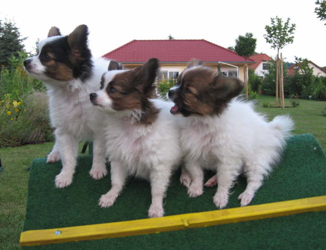 �bung macht den Meister.