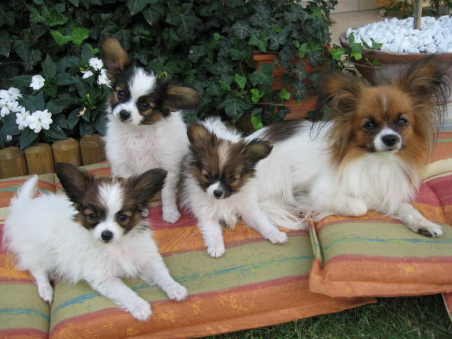 Mama und die Rasselbande.