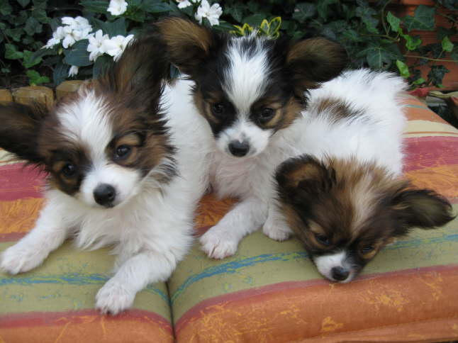 Foto-Shooting? Das macht ja m�de.