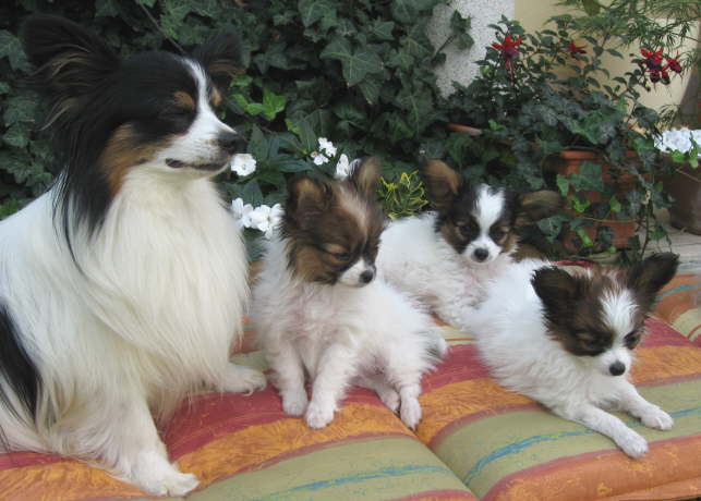 Neo und die Rasselbande.