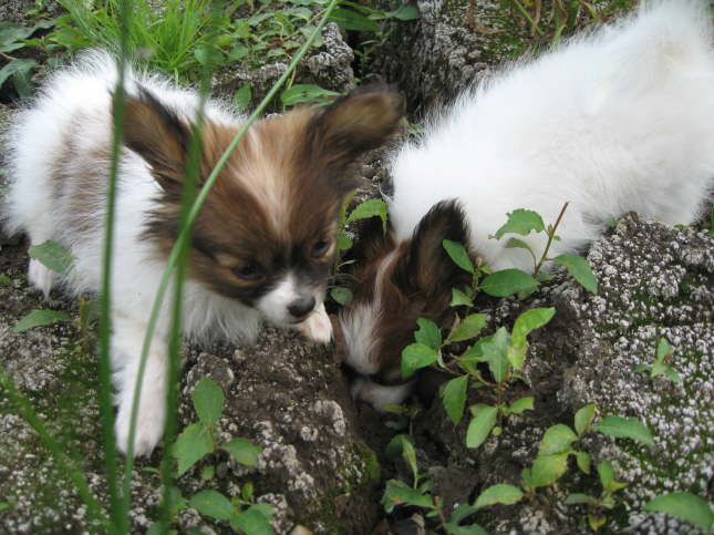 Da unten riecht�s aber interessant.