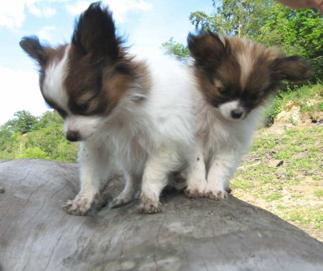 Klettern mssen wir noch ben.
