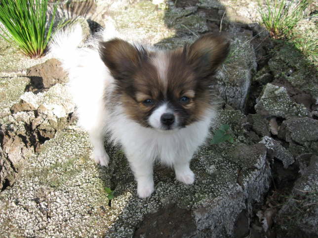 N�, ich bin nicht so schmutzig.