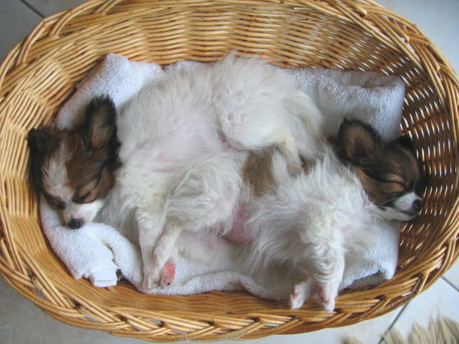 Da waren es nur noch zwei.