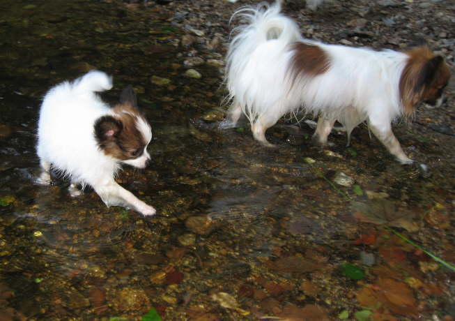 Zum Gl�ck bin ich nicht wasserscheu!