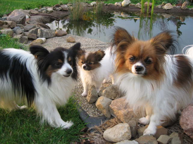 Was macht denn Neo f�r eine Schnute?