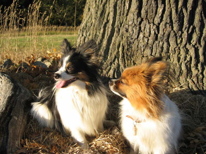 Ein Hauch von Sommer