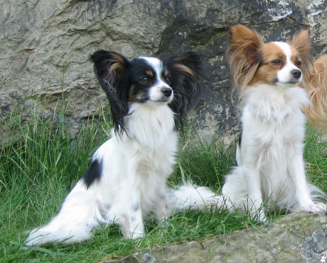 Fea und Mathy