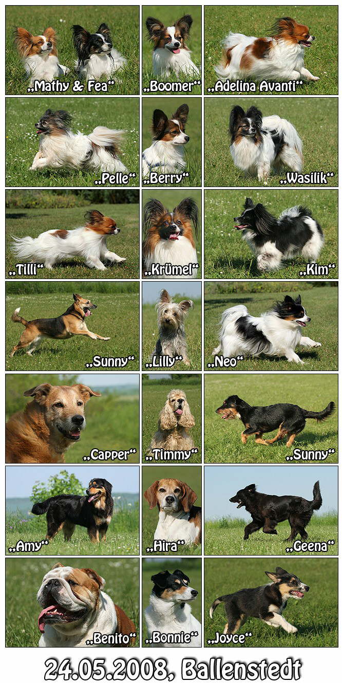 die Topmodels