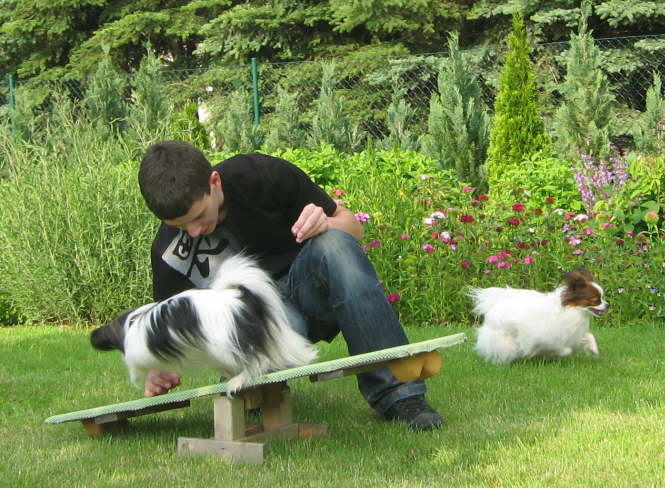 Agility mit Florian und Colin