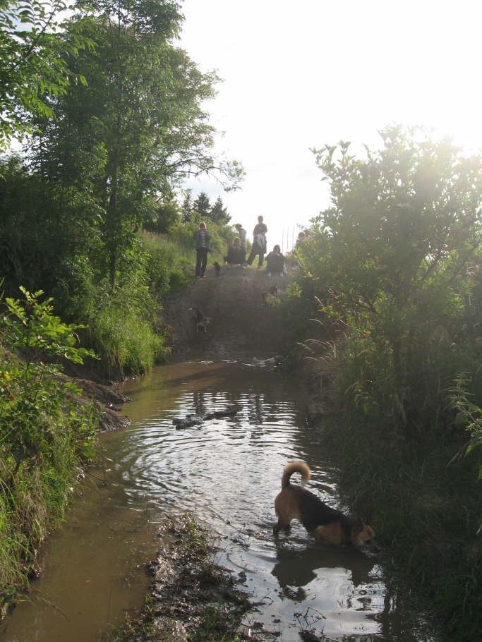 Sunny ist begeistert