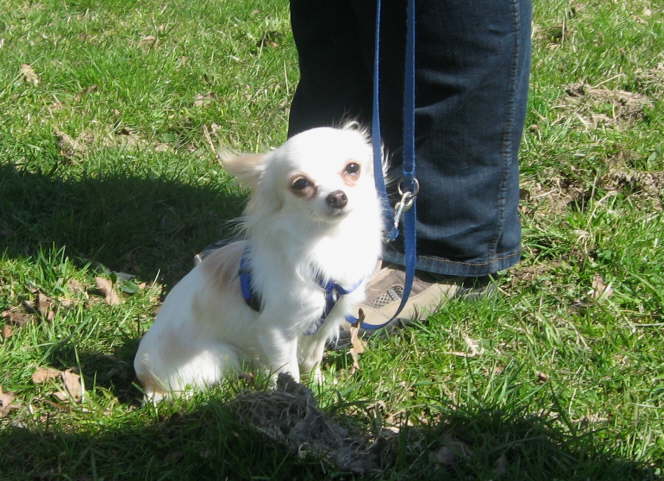 die kleine Jule war ganz mutig