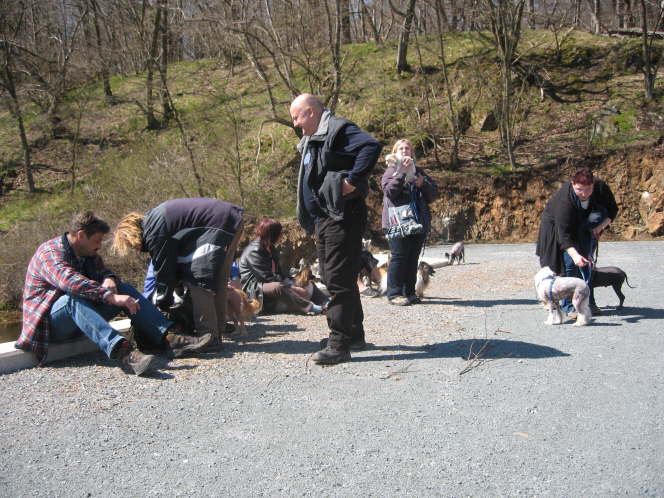 am gro�en Sieberstein