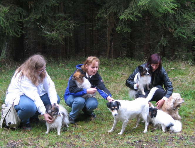 Wenke, Kirsten, Gitti 