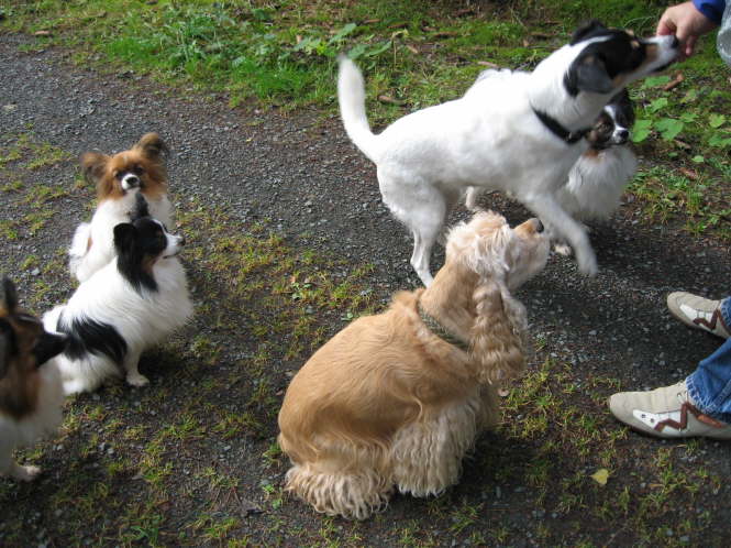 Was gibt�s denn da?