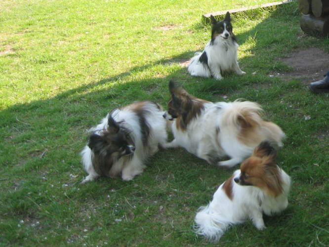 st�rmische Begr��ung